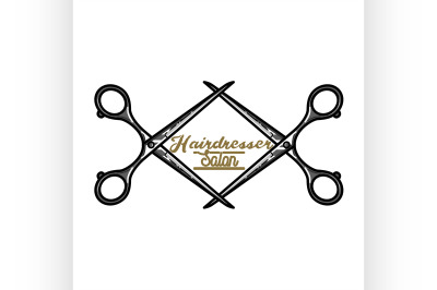 Color vintage hairdresser salon emblem