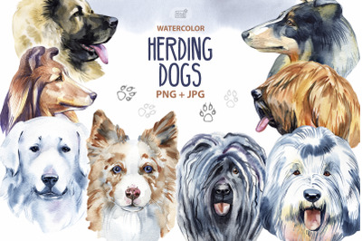 Watercolor herding dogs