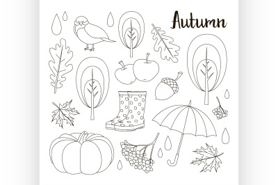 Autumn icon and objects set