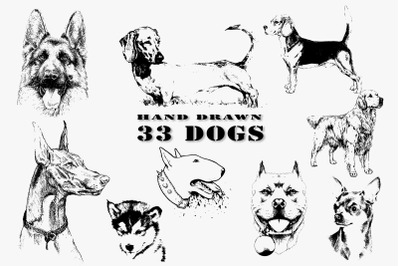 33 DOGS hand drawn illustrations