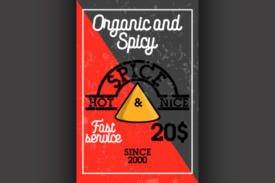 Color vintage spice shop banner