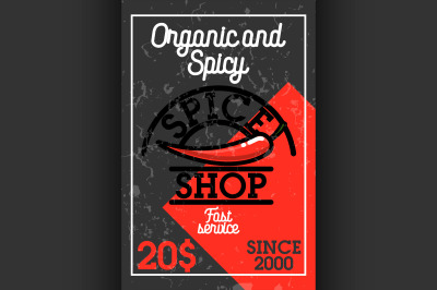 Color vintage spice shop banner