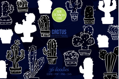 White Cactus in Flower Pots | Succulent | Tropical House Plants