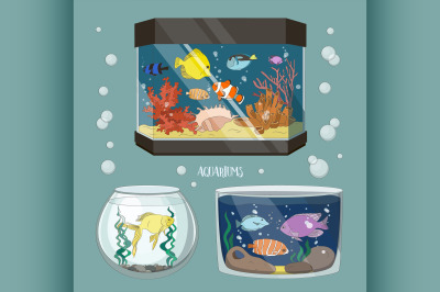 Glass Aquarium Set