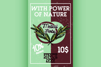 Color vintage medical plants herbs banner