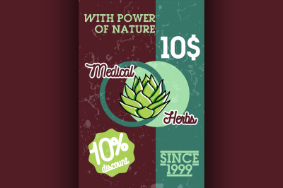 Color vintage medical plants herbs banner