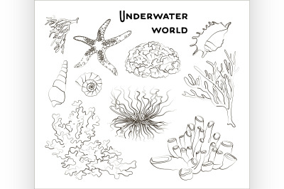 Set of underwater objects