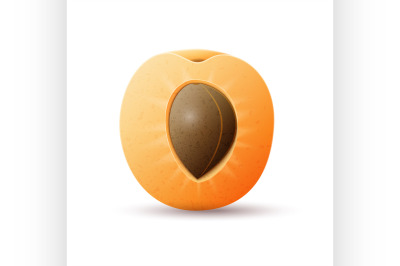 Half apricot fruit