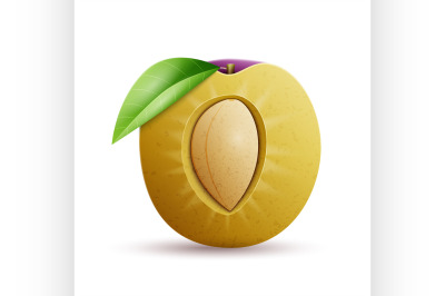 Plums vector icon.