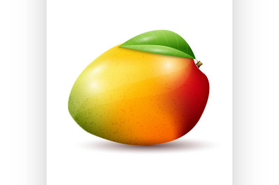 Mango on white background