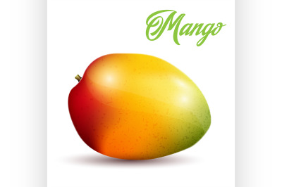 Mango on white background