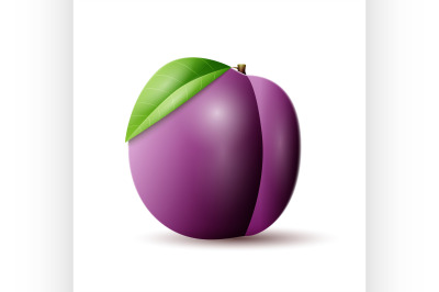 Plums vector icon.