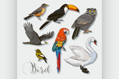 Bird collection set