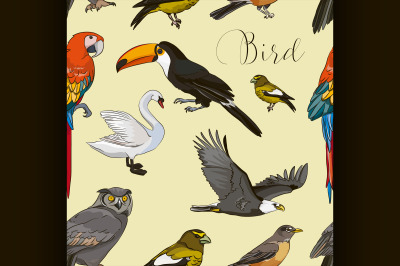 Bird collection pattern