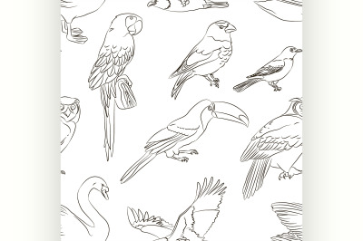 Bird collection pattern