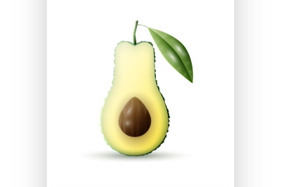 Realistic vector avocado