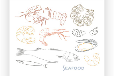 Vector Seafood set