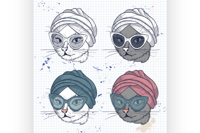 Vector color set of elegant cat women face