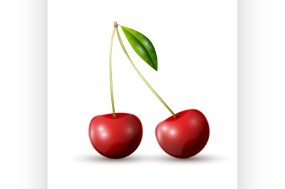 Red cherry berries