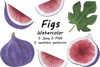 Collection of fig fruits watercolor illustration