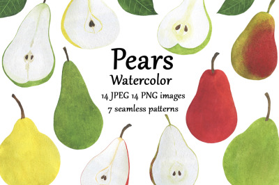 Set pears fruits watercolor food illustration