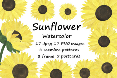 Set of watercolor sunflowers illustrations