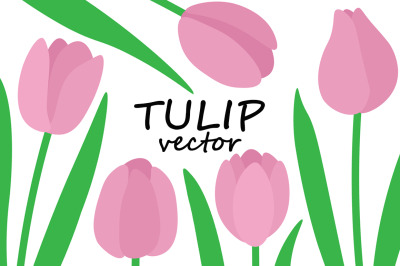 Set of tulips vector illustration