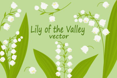 Set lilies of the valley flowers vector illustration