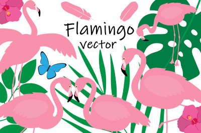 Set bird flamingo vector