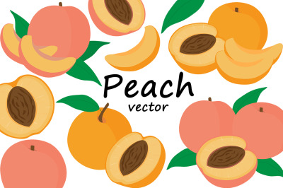 Set fruit peaches vector illustration