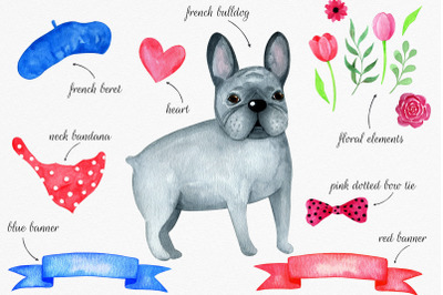 French bulldog watercolor set clipart. Dog and fashion set