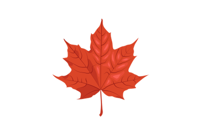 Maple Leaf