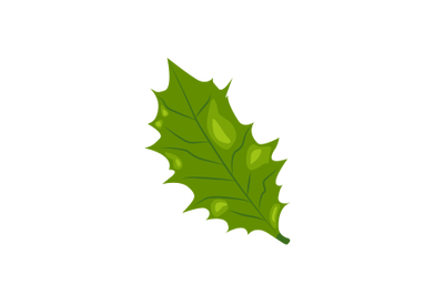 Holly Leaf