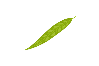 Willow Leaf