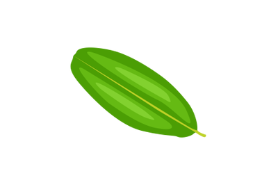 Banana Leaf