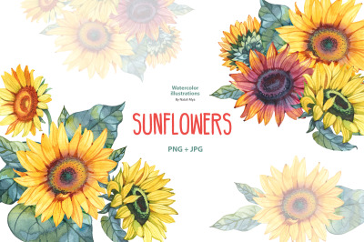 Watercolor sunflowers