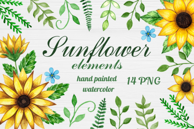 Watercolor Sunflower elements,  hand painted