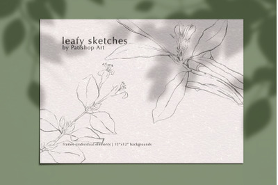 Leafy Sketches in Pencil Hand Drawn Illustrations