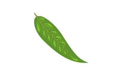 Peach Leaf