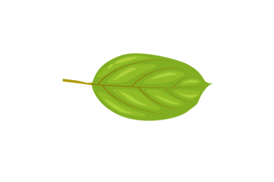 Champor Leaf