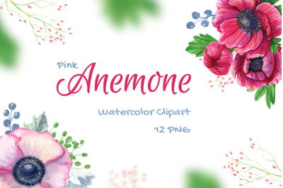 Watercolor Anemone Flowers Clipart Pink