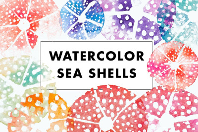 Watercolor sea urchin shells