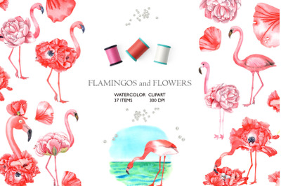 FLAMINGOS and FLOWERS  watercolor clipart