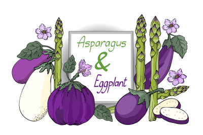 Vector sketch. Eggplant and asparagus.