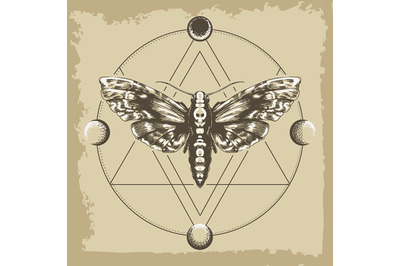 Deaths Head Hawk Moth in Esoteric Astrological Circle Retro Illustrati