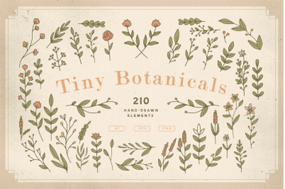 Tiny Botanicals | Wild Flowers Pack