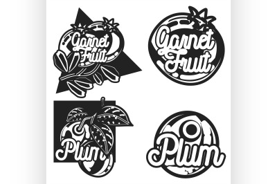 Color vintage fruit emblems