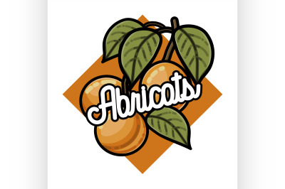 Color vintage fruits emblem