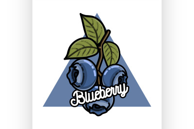Color vintage fruits emblem