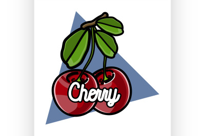 Color vintage fruit emblem